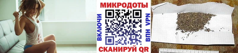 Галлюциногенные грибы Psilocybine cubensis  Купить  Красный Холм 